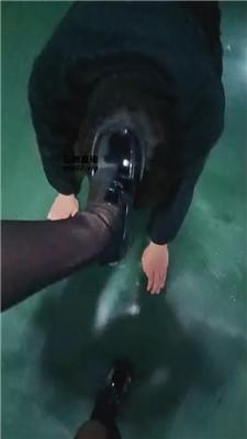se1u0dtlj0y.jpg