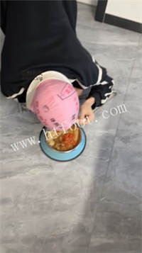 021927yuup7zlldd7pic8w.jpg
