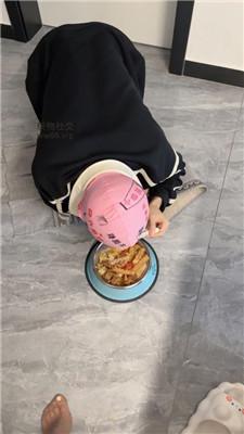t5b4fzk30lp.jpg