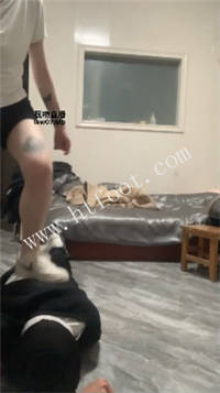 034511yzl4l54m8vvpi1md.jpg