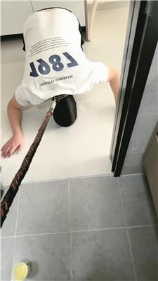 iwnyqspal5y.jpg