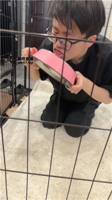dr2limbshc1.jpg
