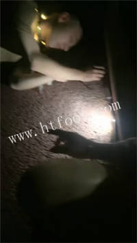 012020sh5h2lf11zdddlua.jpg