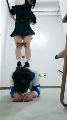 wt4rfonlqqx.jpg