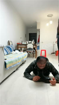 082803z371ggzccc3plcoe.jpg