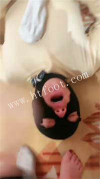 084144tst8vq3j6j3433eb.jpg