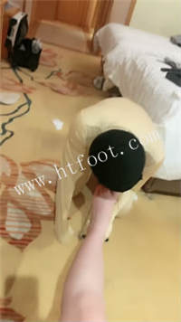 084146naz792hazaal445a.jpg