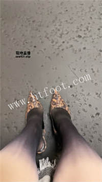 085540t68ttzo1u566c68t.jpg