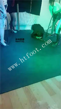 021137dx895808950wbhb6.jpg