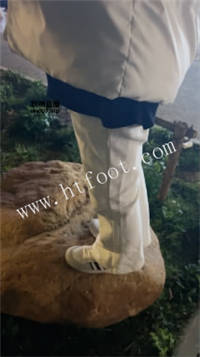 020912lvn7o7262xsohntm.jpg