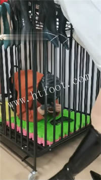 022634t61q5k1legquk456.jpg