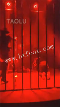 031902zzplb7a7c7pvvcfg.jpg