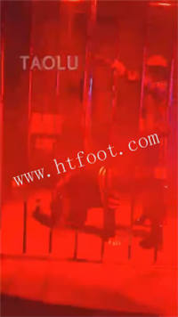 031859wnpn7zmfpgpglspp.jpg