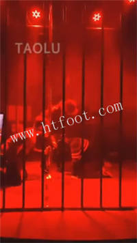 031902tp3x0350v33203xl.jpg