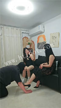033759vx8hysdzyds144nv.jpg