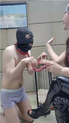 ggwdnz1qktc.jpg