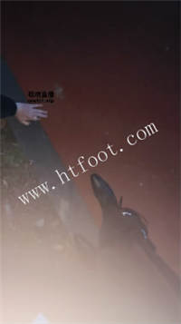 023912el2k8zroxari8n1o.jpg