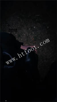023913akghjxx8e58j4gcx.jpg