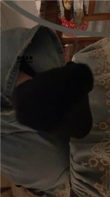 b2erqfv3vqe.jpg