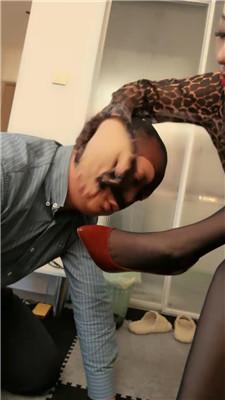 lnz55d0fagm.jpg