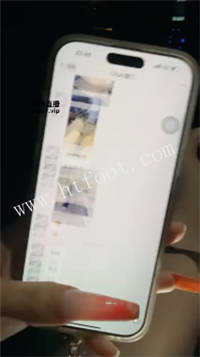 015829jpbpbzfg8cz8n0by.jpg