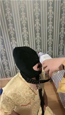 qtj3bqz3vod.jpg