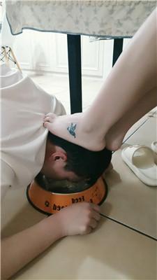 apdu4dgxglz.jpg