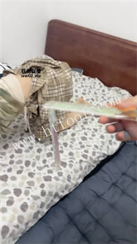 005833zwhsl2ey8plhv2es.jpg