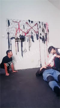 010127apet80qq8k0e0qtc.jpg