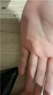 a4srk1ye2dp.jpg