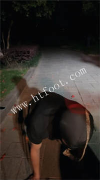 030733s6j6prjjpt3hcrch.jpg