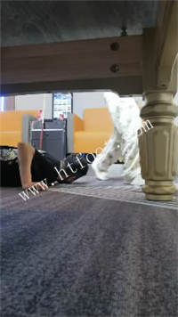 031509qdwmz6wwy1dowbdg.jpg