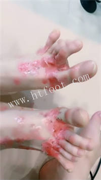045510oq2tqaam7r27guud.jpg