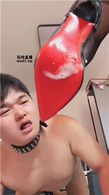 vu4pb3tsj2f.jpg