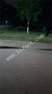 022345tn0juuq3ucu9g9p9.jpg