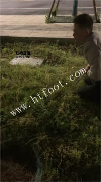 021255tehi1i7mg47oiz1x.jpg