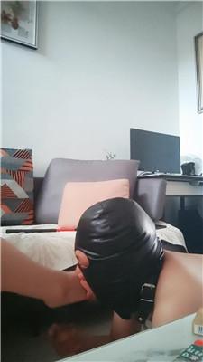 fdb4fw4qhpp.jpg