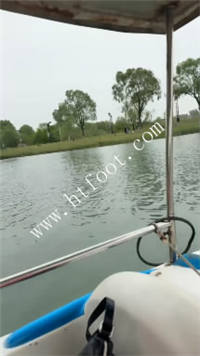 042135yulfykfoqofklfll.jpg