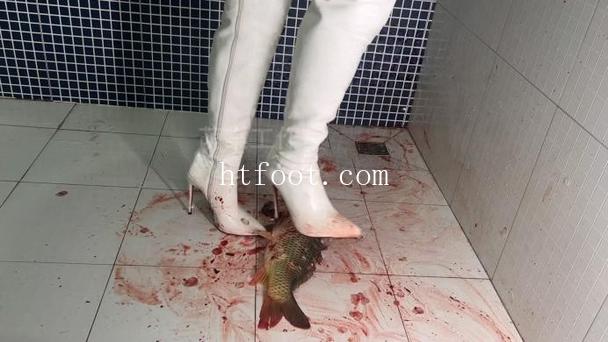 072942bns4k4d1alaaddyd.jpg