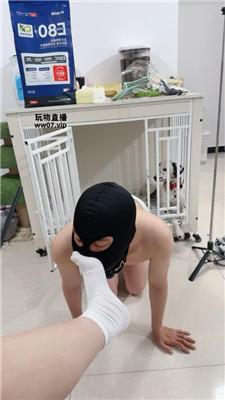 5pj3tg2euzy.jpg