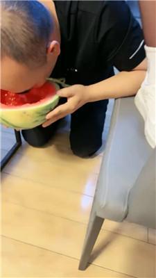 zkr12ilwalh.jpg