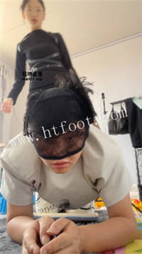 003841srjpo5progqpahtl.jpg