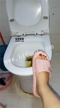 005114cqpnqple1podqqpg.jpg