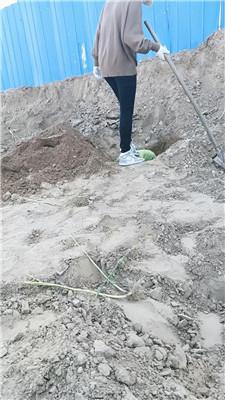 cnqqtbqwyrw.jpg