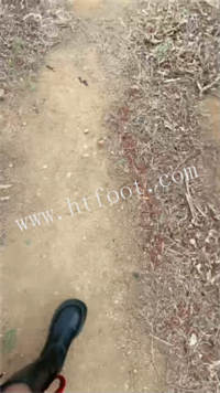 014136t7sjs7qvyv1r6dpp.jpg