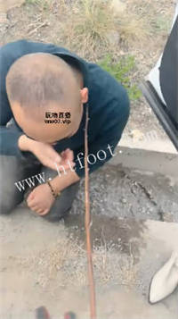 023211oz334xx72vpv79v2.jpg