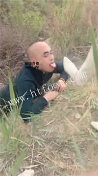 023244wht2totktpmokott.jpg
