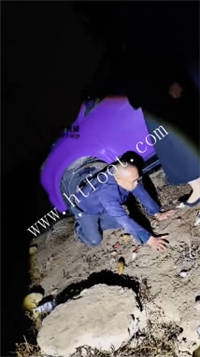 025326adhaa9dagi8frgaq.jpg