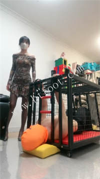 033602fl2mm882parp28aq.jpg