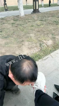 040801zoiqwoqhzhotszsi.jpg